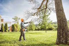 Best Commercial Tree Services  in Canton Valley, CT